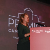 Premios Cámara Castellón