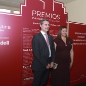 Premios Cámara Castellón