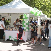 II Festival de la Familia