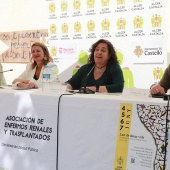 ALCER Castalia