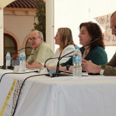 ALCER Castalia