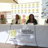 ALCER Castalia