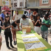 ALCER Castalia