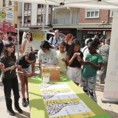 ALCER Castalia