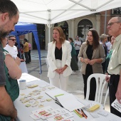 ALCER Castalia
