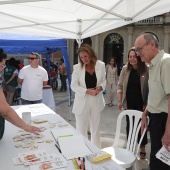 ALCER Castalia