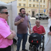 ALCER Castalia