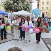 ALCER Castalia