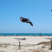II Festival del Viento