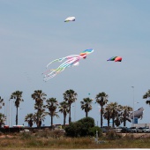 II Festival del Viento