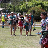 II Festival del Viento