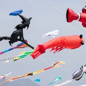 II Festival del Viento