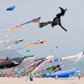 II Festival del Viento