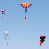 II Festival del Viento