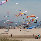 II Festival del Viento