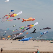 II Festival del Viento