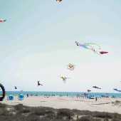 II Festival del Viento