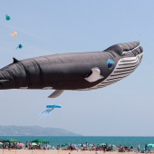 II Festival del Viento