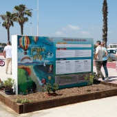 II Festival del Viento