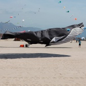 II Festival del Viento