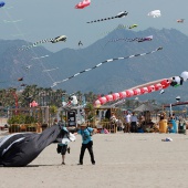II Festival del Viento