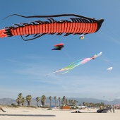II Festival del Viento