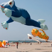 II Festival del Viento