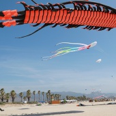 II Festival del Viento