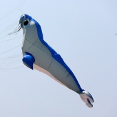 II Festival del Viento