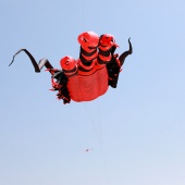 II Festival del Viento