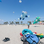 II Festival del Viento