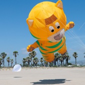 II Festival del Viento