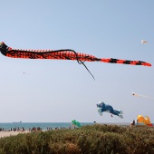II Festival del Viento