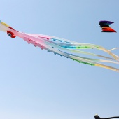 II Festival del Viento