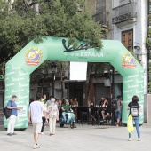 XIV edición de Vespazahar