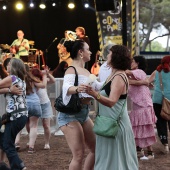 Concerts del Pinar