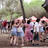 Concerts del Pinar