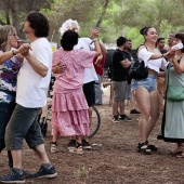 Concerts del Pinar