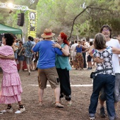 Concerts del Pinar