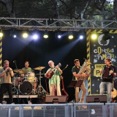 Concerts del Pinar