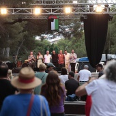 Concerts del Pinar