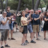Concerts del Pinar