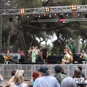 Concerts del Pinar