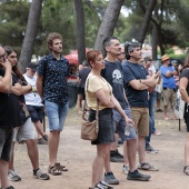 Concerts del Pinar