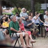 Concerts del Pinar