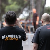 Concerts del Pinar