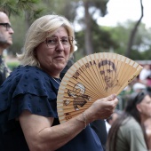 Concerts del Pinar