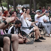 Concerts del Pinar