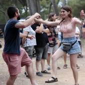 Concerts del Pinar