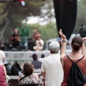 Concerts del Pinar
